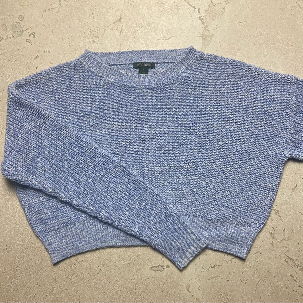Wild Fable cropped sweater